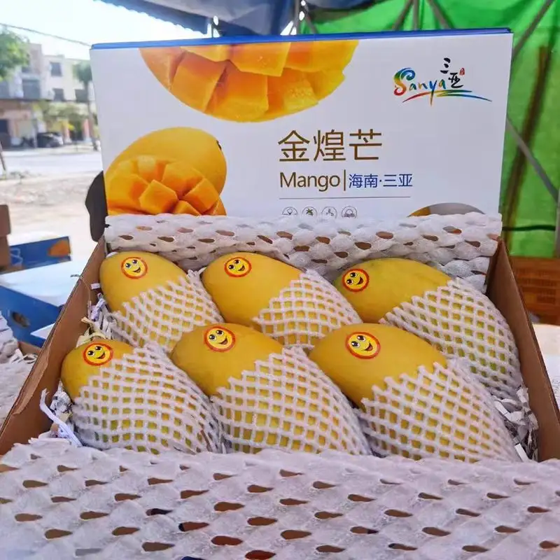 海南金煌芒特产三亚芒果当季新鲜芒果礼盒