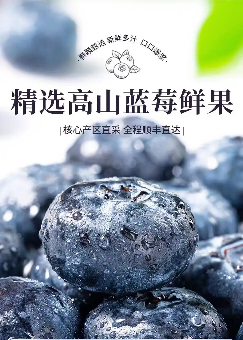 高山秘鲁蓝莓现摘顺丰孕妇高端整箱当季新鲜水果怡颗云蓝梅南进口