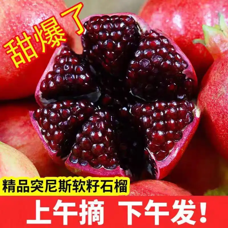 突尼斯软籽石榴新鲜水果