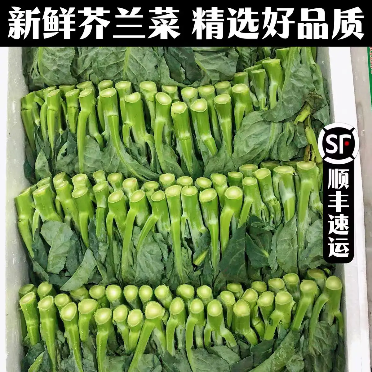 新鲜芥兰菜5斤脆嫩绿叶甘蓝广东小芥蓝当季现摘农家时令蔬菜包邮